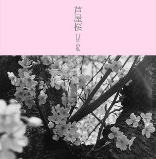 芦屋桜.jpg